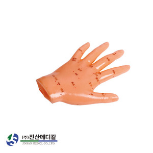손 경혈 모형
